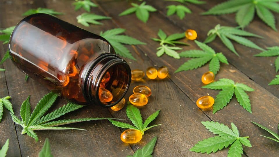 האם שמן CBD יכול להקל על חרדות?