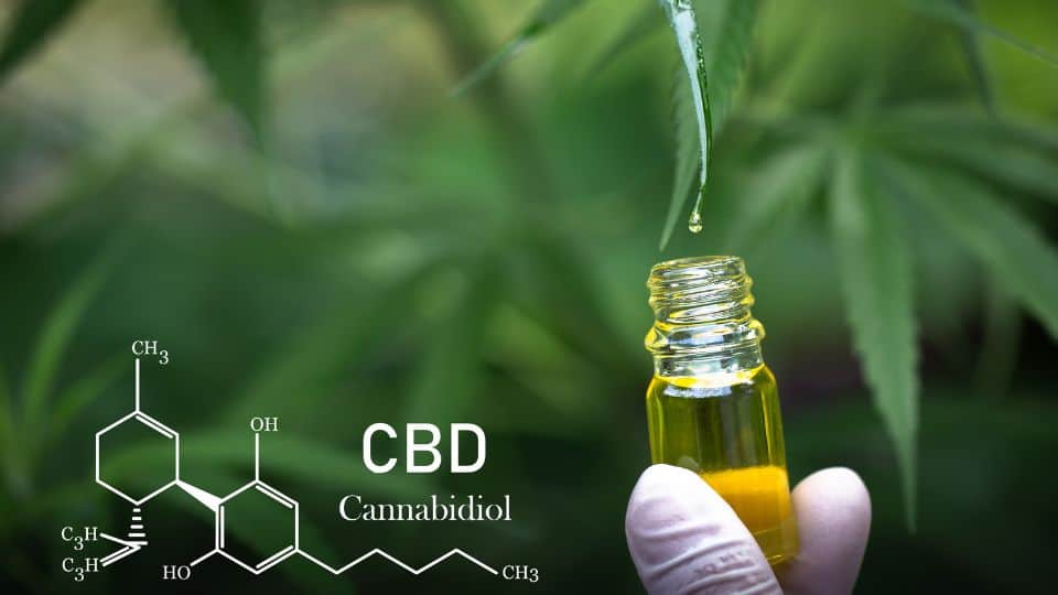 שמן קנאביס CBD