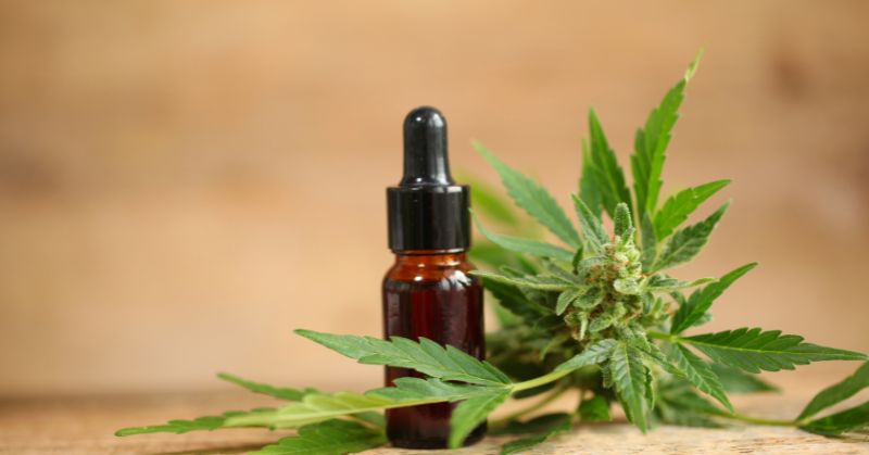 מהם היתרונות של שמן CBD על פני החלופות ולמי זה מומלץ?